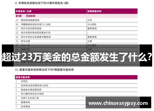 超过23万美金的总金额发生了什么？